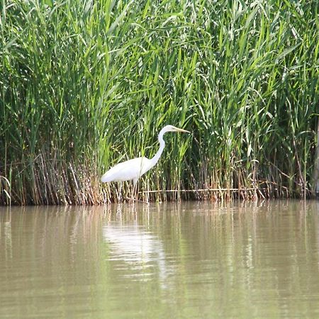 Haus Am See Neusiedl am See Ngoại thất bức ảnh