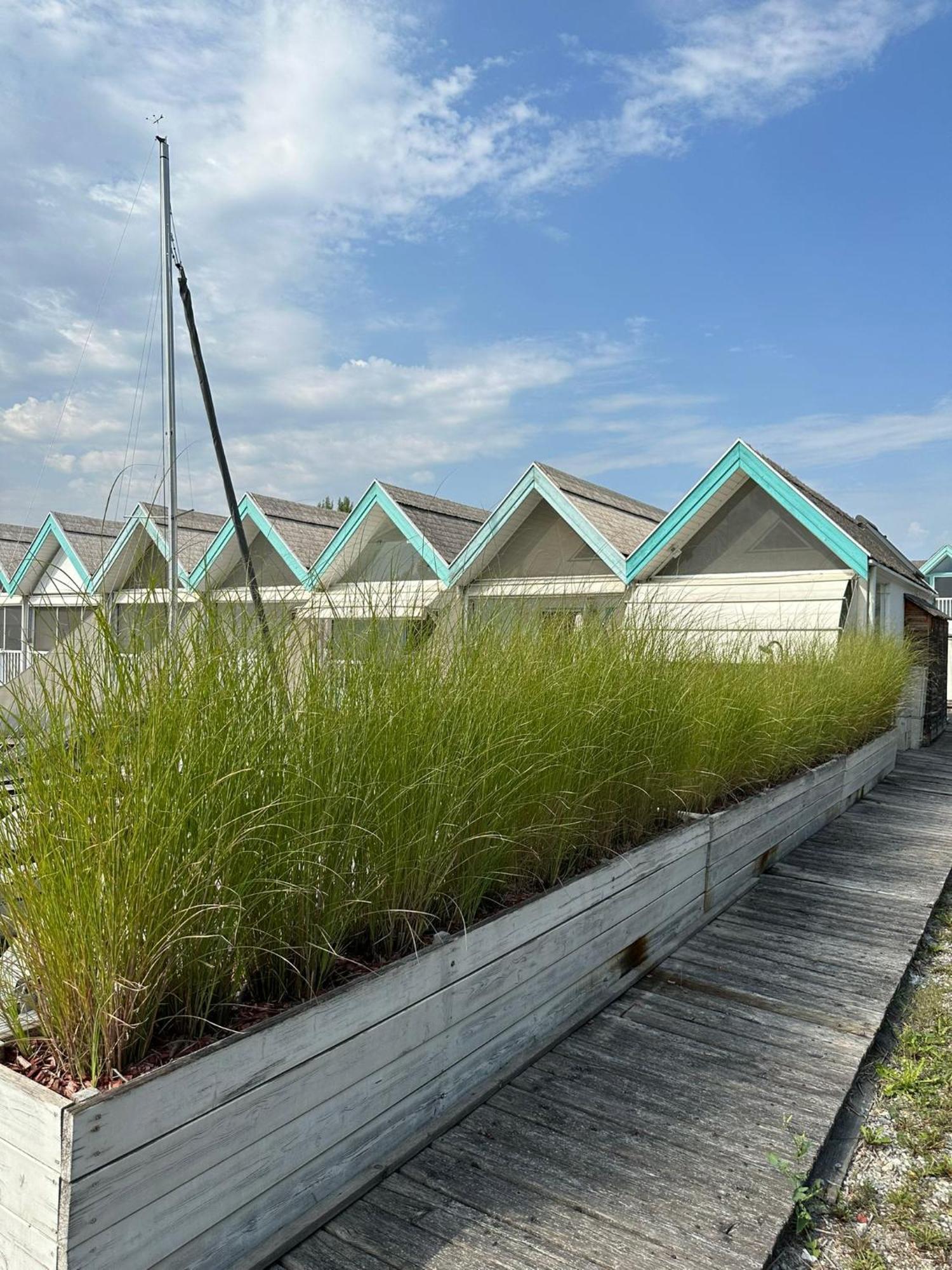 Haus Am See Neusiedl am See Ngoại thất bức ảnh