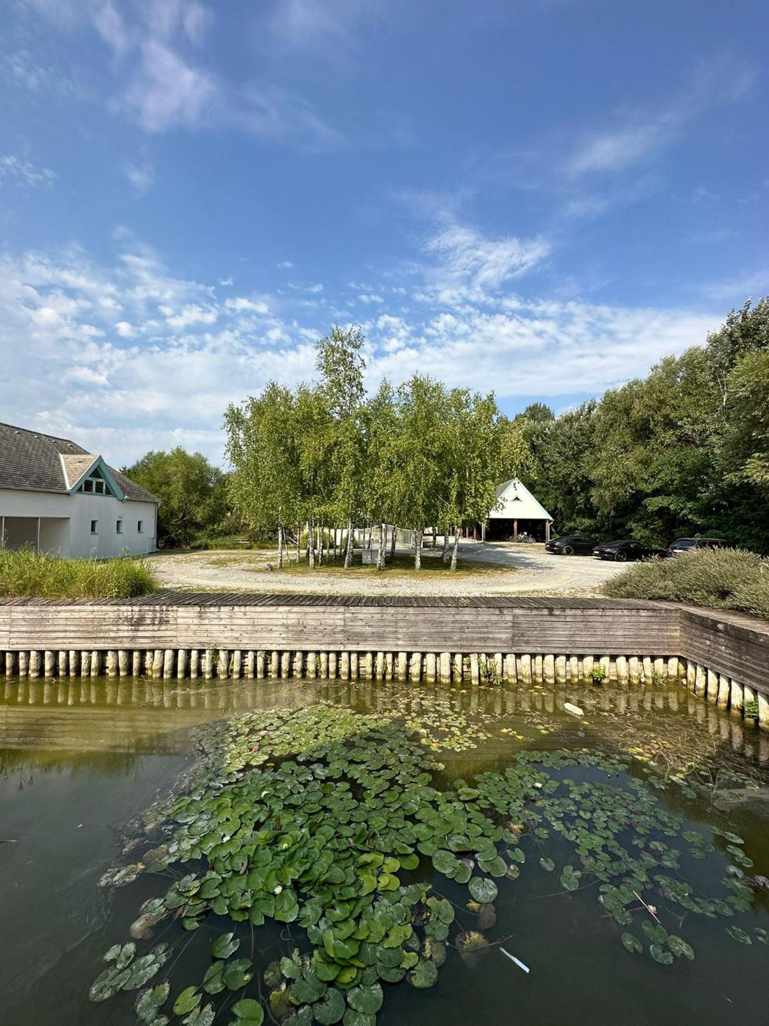 Haus Am See Neusiedl am See Ngoại thất bức ảnh
