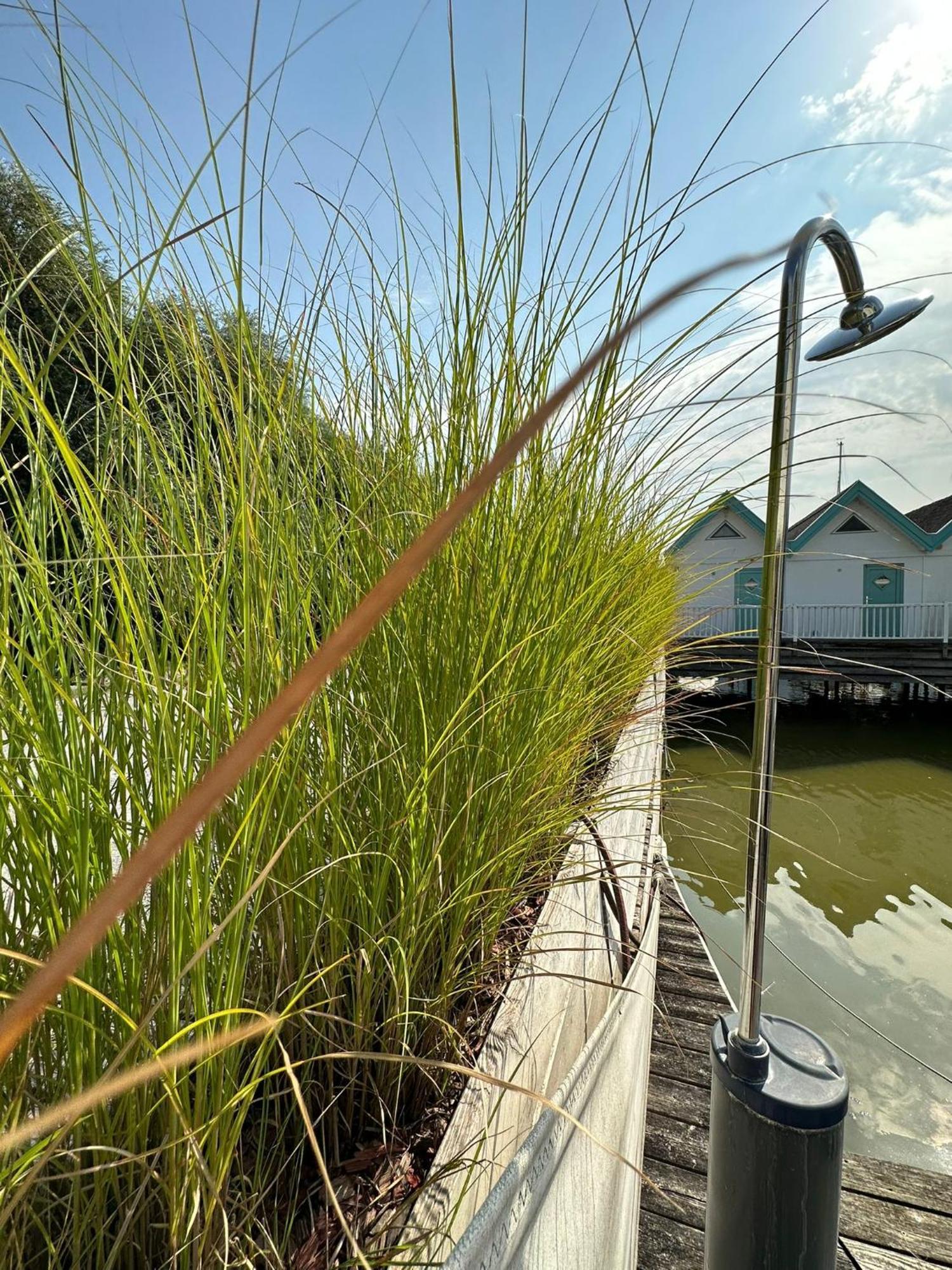 Haus Am See Neusiedl am See Ngoại thất bức ảnh